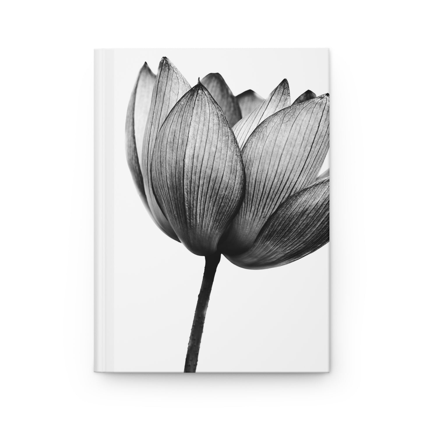 Lotus Flower Journal Matte